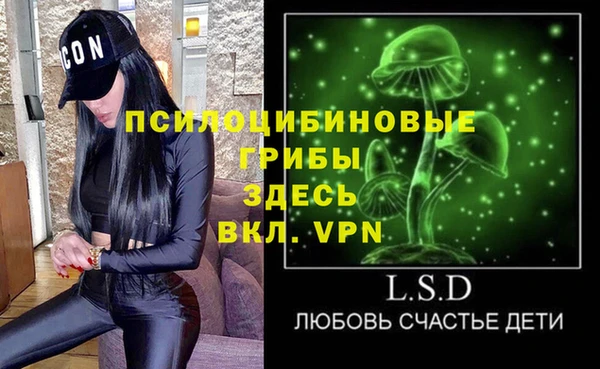 кокс Алексин